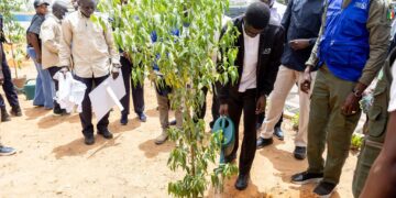 Stade LSS : Le Président Diomaye FAYE a participé à la journée d’embellissement et de végétalisation