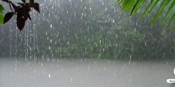 Hivernage : Des pluies accompagnées d’orages attendus sur une grande partie du pays