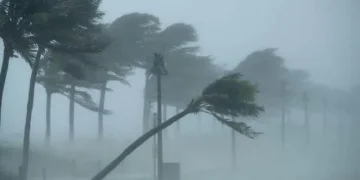 Météo : l’ANACIM alerte sur de forts vents sur les côtes sénégalaises