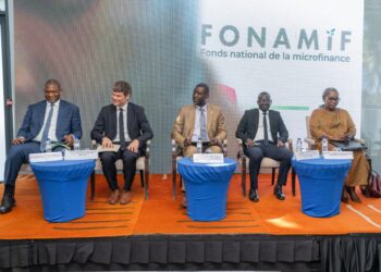30ème session du CNC : « La microfinance est aujourd’hui un pilier de l’inclusion financière et du financement de notre économie », (Dr Alioune Badara Dione)