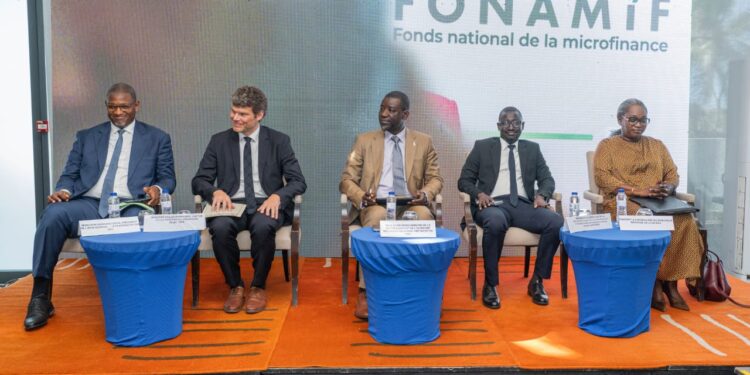 30ème session du CNC : « La microfinance est aujourd&rsquo;hui un pilier de l&rsquo;inclusion financière et du financement de notre économie », (Dr Alioune Badara Dione)