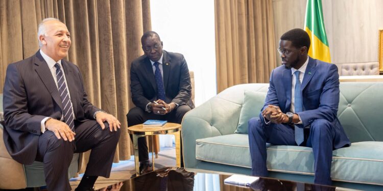 La reprise d’une liaison directe Le Caire-Dakar au menu d’échanges entre le président Faye et le PDG d’Air Cairo