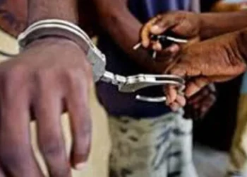Braquage d’un point Wave à Dahra : plusieurs suspects arrêtés