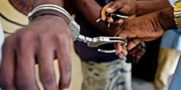 Braquage d’un point Wave à Dahra : plusieurs suspects arrêtés