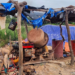 Kédougou : 48 machines d’orpaillage démantelées aux abords de la Falémé