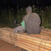 Kédougou : deux individus interpellés pour coupe illicite de bois