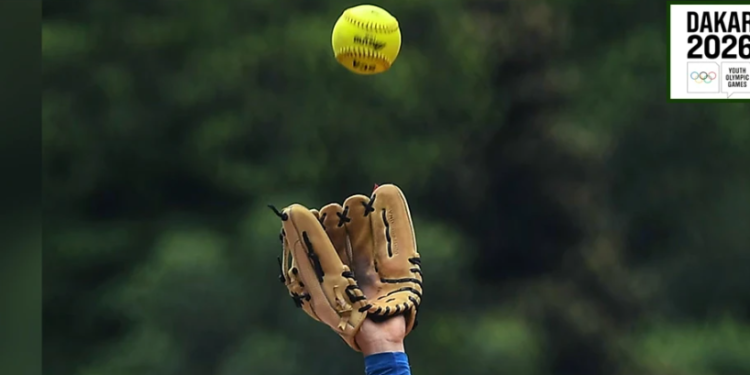 Baseball 5 : les Lionceaux font leur baptême du feu aux JOJ face à la Chine Taipei, vendredi