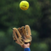 Baseball 5 : les Lionceaux font leur baptême du feu aux JOJ face à la Chine Taipei, vendredi