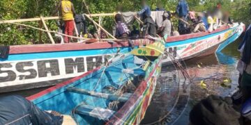 Émigration irrégulière : 378 personnes interpellées à Fatick, plusieurs matériaux saisis 
