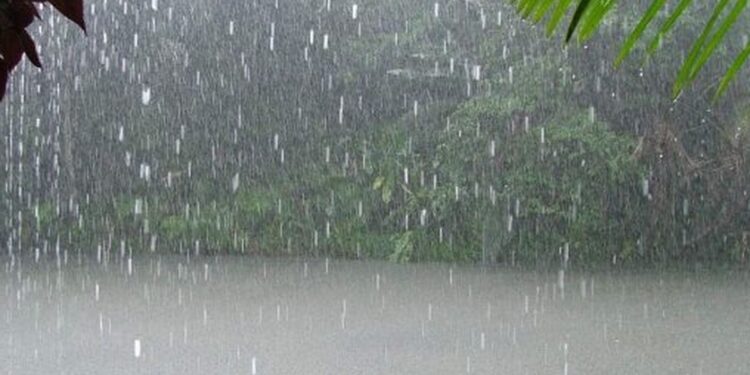 Bulletin météo : Des activités pluvio-orageuses attendues sur une bonne partie du territoire national