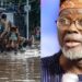 Inondations à Dakar : Alioune Tine appelle à changer « absolument » de capitale