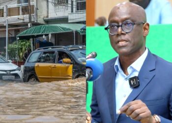 Le prix de l’incompétence et de l’inconscience, (Par Thierno Alassane Sall)