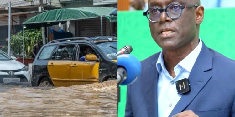 Le prix de l&rsquo;incompétence et de l&rsquo;inconscience, (Par Thierno Alassane Sall)