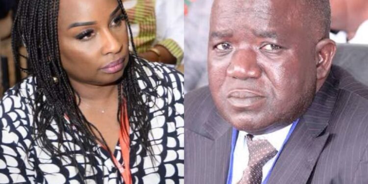 Commissions d’enquête parlementaires : Oumar Sarr affirme, mais que démontre-t-il réellement ?, (Par Hawa Abdoul Ba)