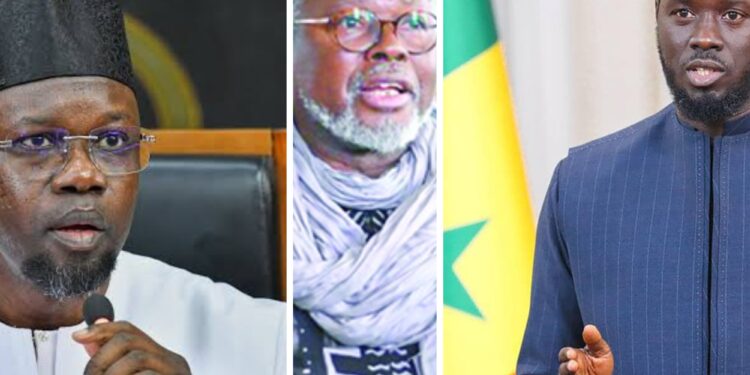 LFR 2026 renvoyé en commission : « C’est la démocratie sénégalaise qui gagne », réagit Alioune Tine