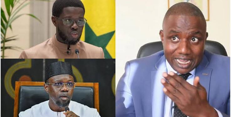 « Les deux associés de la société à irresponsabilité illimitée » : Yoro Dia clashe Sonko et Diomaye