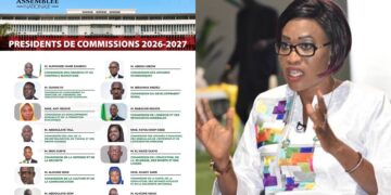 Commissions parlementaires : Zahra Iyane Thiam déplore la faible représentation des femmes