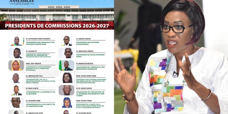 Commissions parlementaires : Zahra Iyane Thiam déplore la faible représentation des femmes
