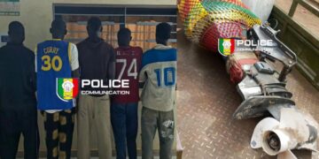 Trafic de migrants : plusieurs individus déférés au parquet à Ziguinchor