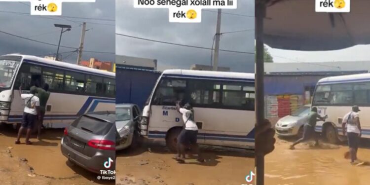 Il saccageait un bus Tata et finit en prison